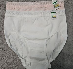SteinMart - Ladies Seamless Panties XL (NWT)
